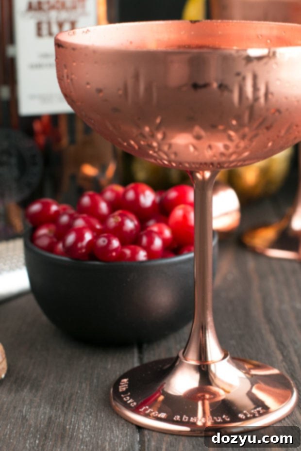 Elegant Absolut Elyx Ginger Martini garnished with a lemon twist and vibrant drunken cranberries, shimmering in a festive setting.