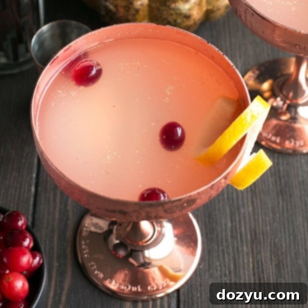 Absolut Elyx Ginger Martini with Drunken Cranberries, garnished with brandy-soaked berries and a lemon twist.