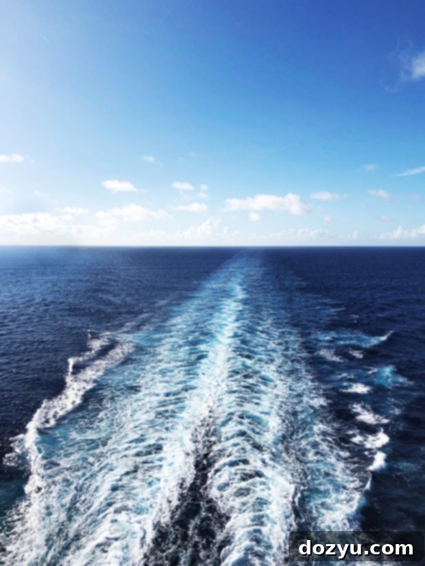 Cruise Ship Secrets for Millennials | cakenknife.com #cruisingcarnival #cruising #tipsandtricks #carnivalvista #sponsored