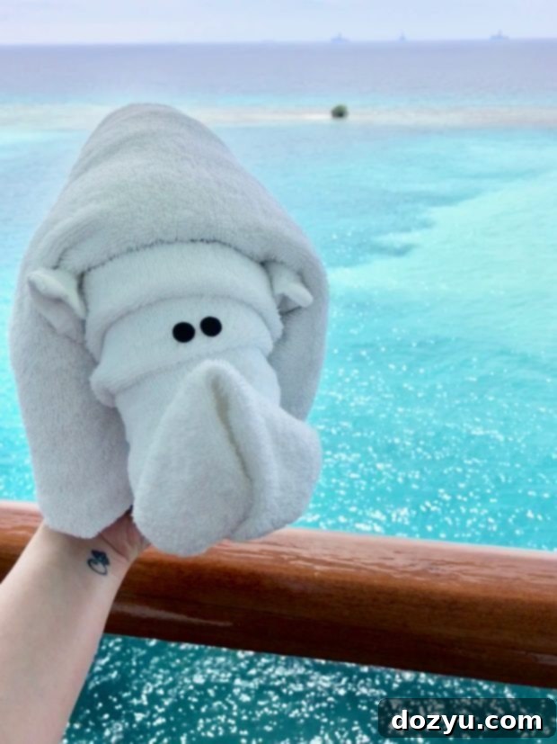 Cruise Ship Secrets for Millennials for Millennials | cakenknife.com #cruisingcarnival #cruising #tipsandtricks #carnivalvista #sponsored