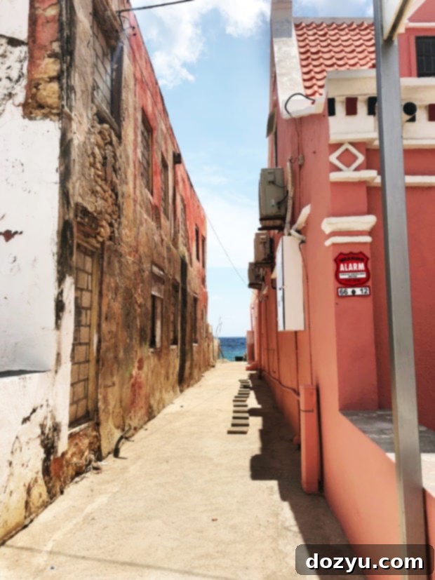 Curaçao in a Day: Your Perfect Itinerary 13 Pietermaai bölgesinin hareketli sokakları ve mimarisi