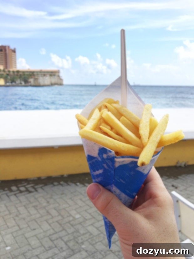 Curaçao in a Day: Your Perfect Itinerary 19 Curaçao'da sokak patates kızartmaları ve soslar