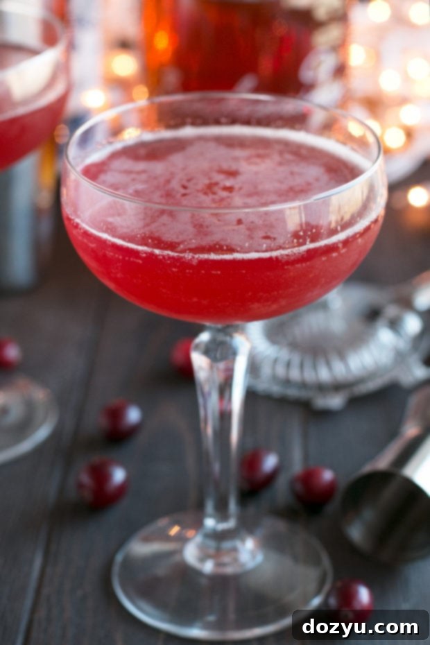 Cranberry Boulevardier | cakenknife.com