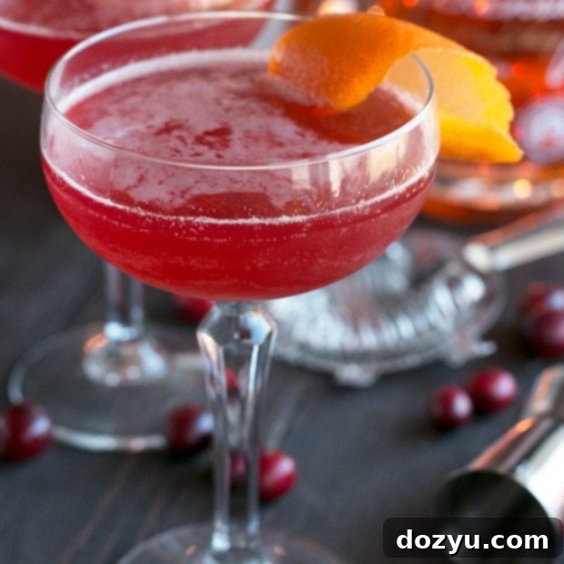 Cranberry Boulevardier | cakenknife.com