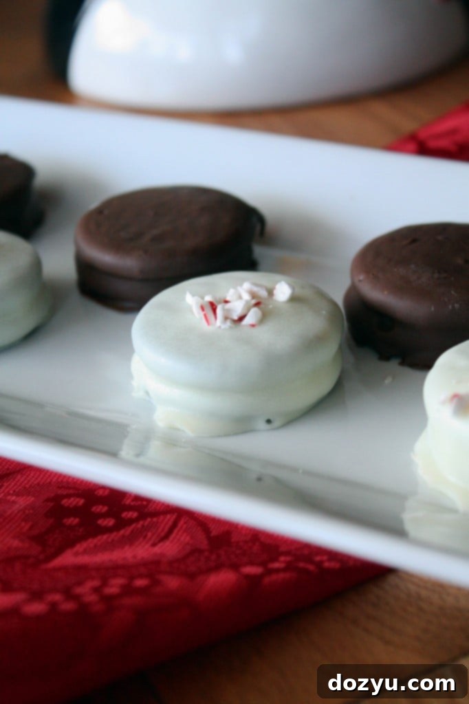 Chocolate Covered Oreos: A favorite holiday cookie, enhanced with an extra layer of rich chocolate, making these classic treats even more enjoyable during the festive season. | cakenknife.com