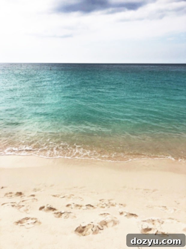 Aruba Ocean: Relaxing on a Pristine Beach