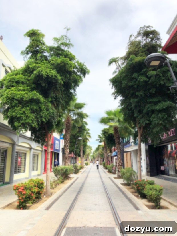 Aruba Street Shopping: Exploring Local Markets During a Cruise Stop