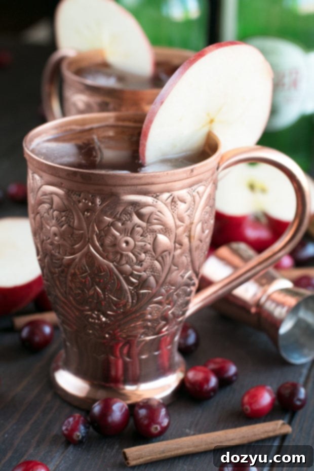 Cranberry Cider Irish Mule