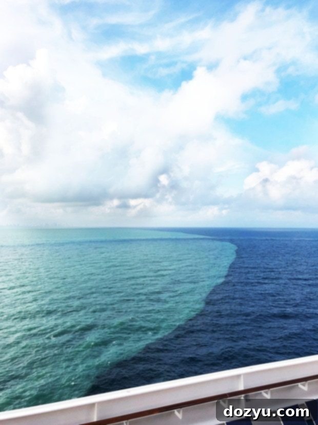 Foodie Guide to the Carnival Vista