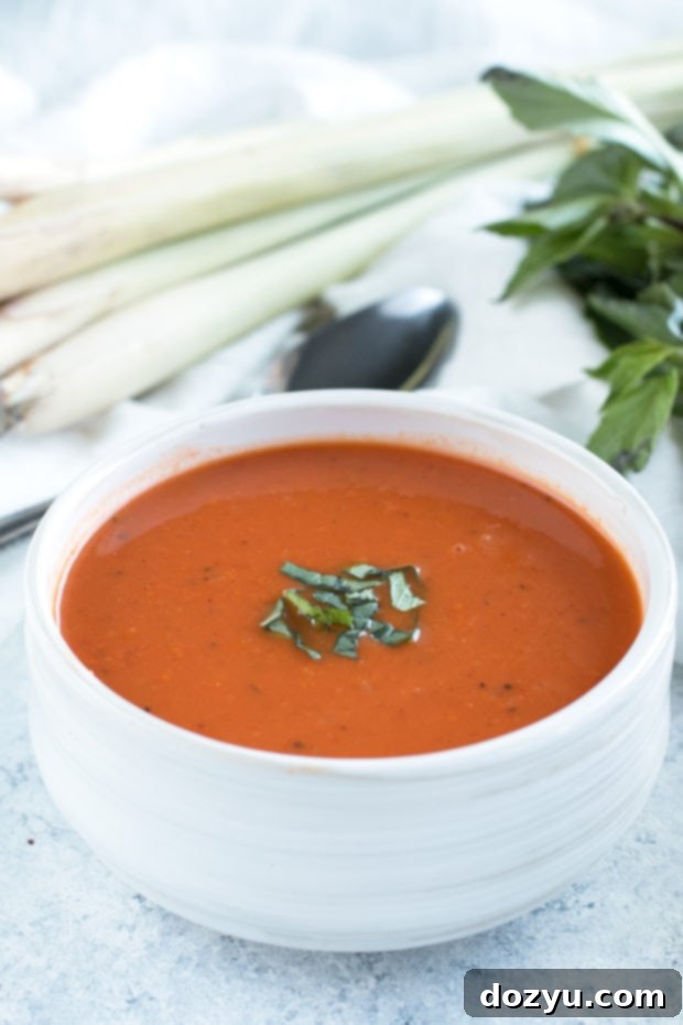 Avocado Kimchi Grilled Cheese with Thai Spiced Tomato Soup