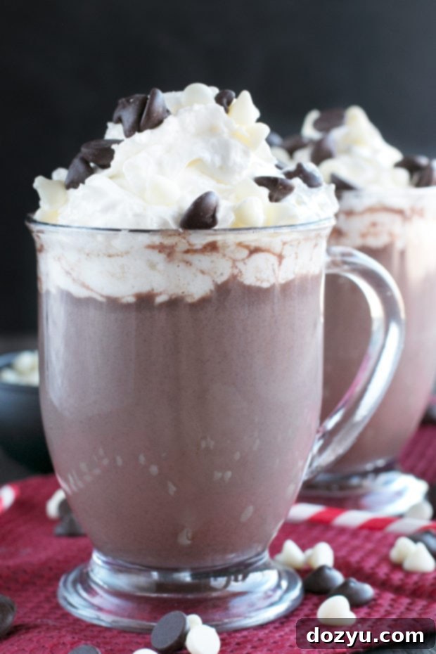 Mug of Boozy Zebra Hot Chocolate topped with whipped cream and chocolate chips