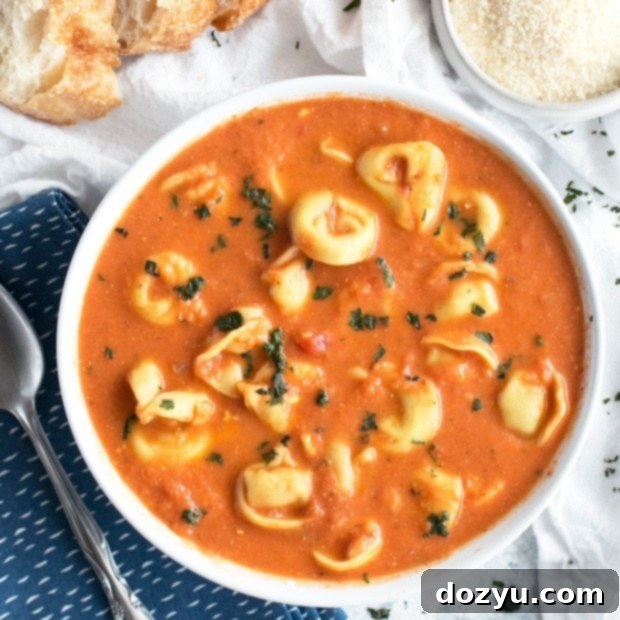 Curry Tomato Tortellini Soup