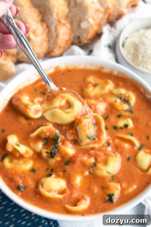 Curry Tomato Tortellini Soup