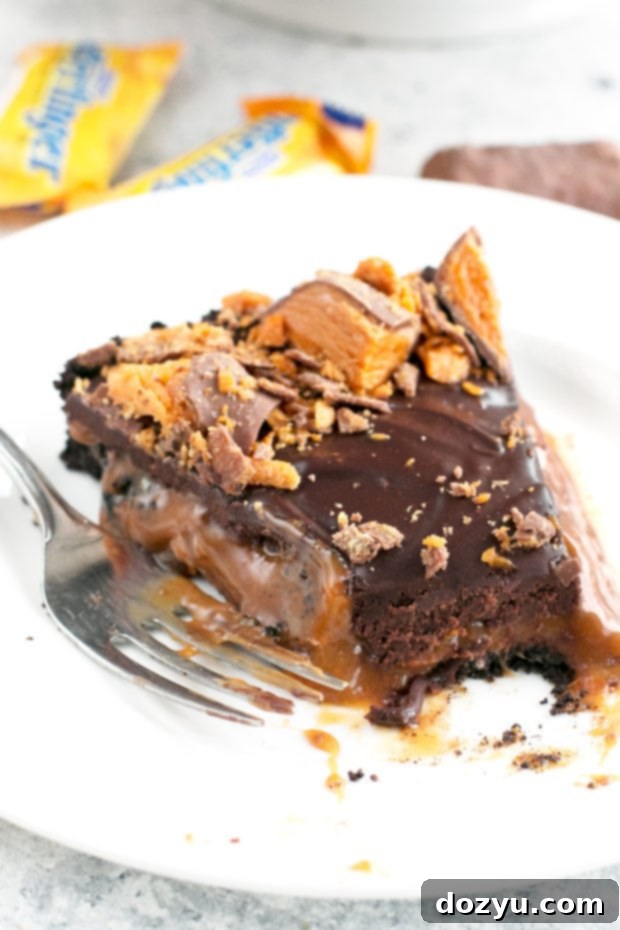 Effortless Butterfinger Caramel Ganache Tart 10 Easy Butterfinger Caramel Ganache Tart - Top Down
