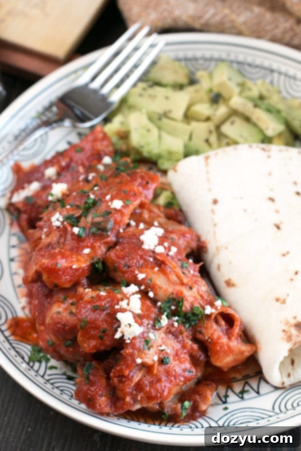 A rustic shot of Chipotle Braised Chicken Thighs, highlighting their rich color and texture.