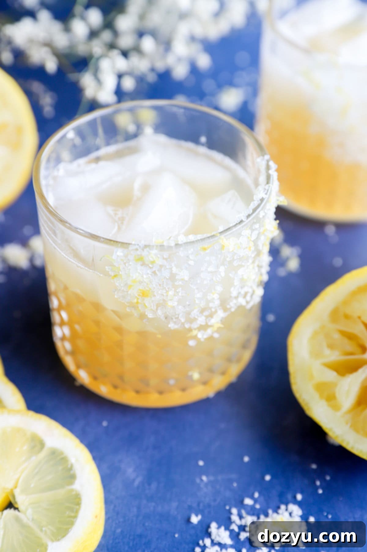 Lemon agave margarita image