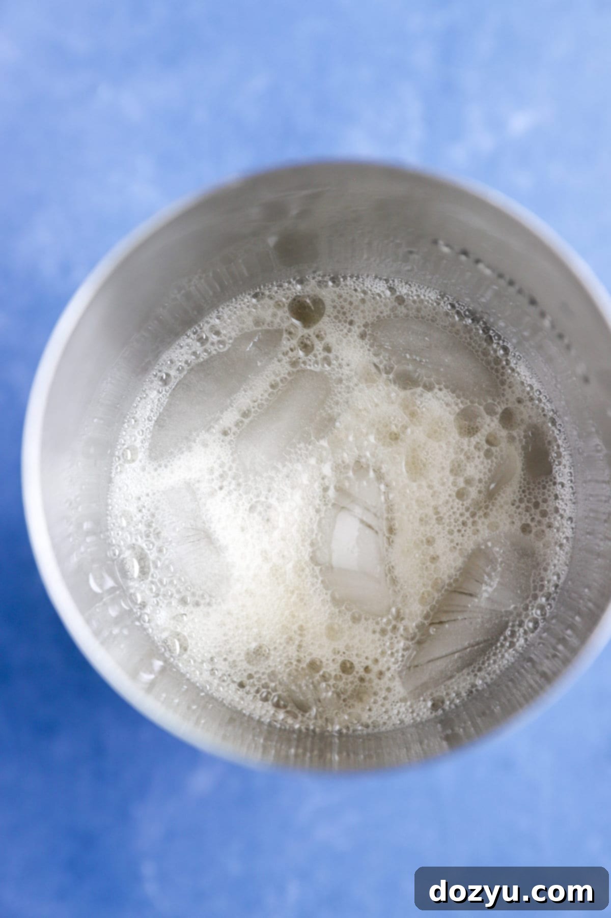 Cocktail in cocktail shaker overhead photo