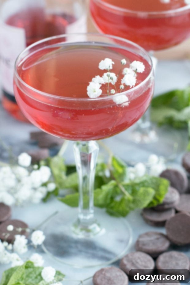 Sparkling Mint Rose Wine Cocktail and Girls' Night In with Oreo Thin Bites!