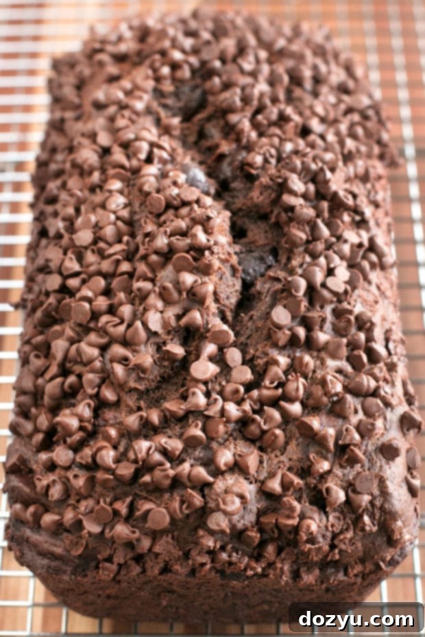 Double Chocolate Avocado Banana Bread on a cooling rack
