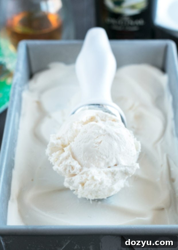 Homemade Bailey’s No-Churn Ice Cream in a bowl
