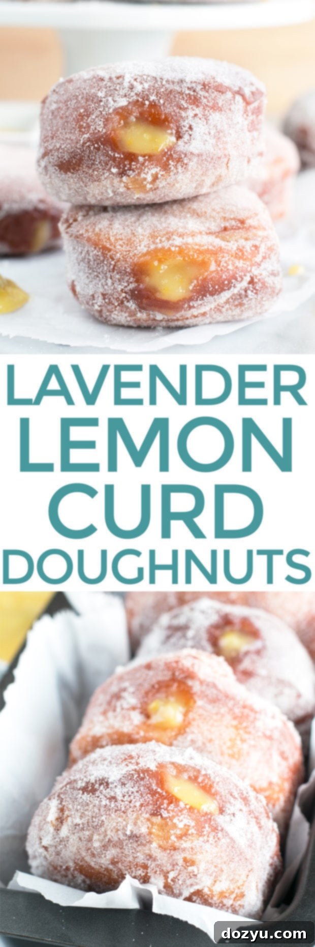 Doughnuts Bursting with Lavender Lemon Curd 10 Lavender Lemon Curd Filled Doughnuts