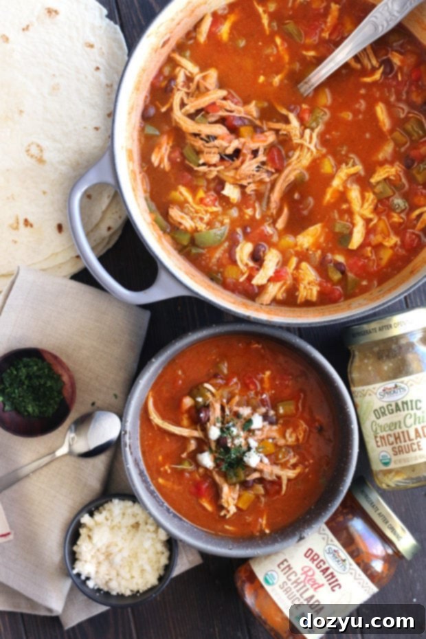 Red and Green Enchilada Soup with authentic New Mexico flavors