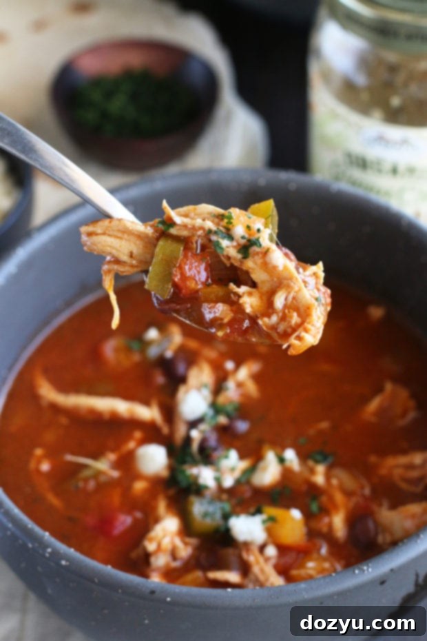 Red and Green Enchilada Soup's secret ingredient: Sprouts sauces