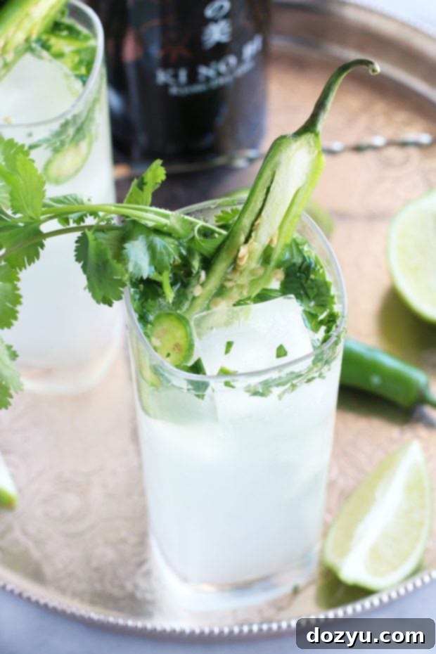 Serrano Cilantro Gin and Tonic