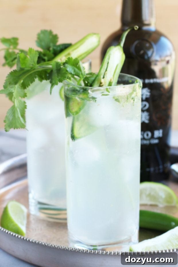Serrano Cilantro Gin and Tonic