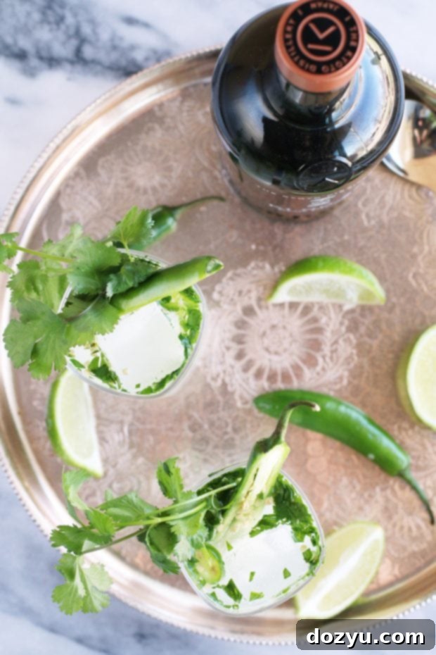 Serrano Cilantro Gin and Tonic