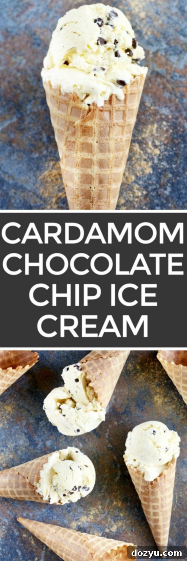 Chocolate Chip Cardamom Ice Cream