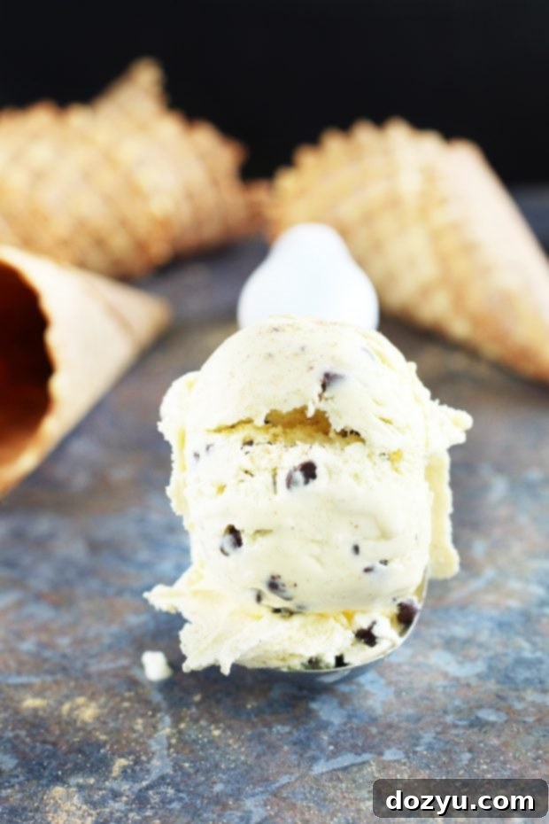 Chocolate Chip Cardamom Ice Cream in ice cream scoop