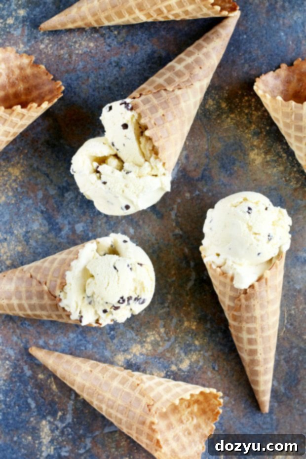 Chocolate Chip Cardamom Ice Cream and several cones
