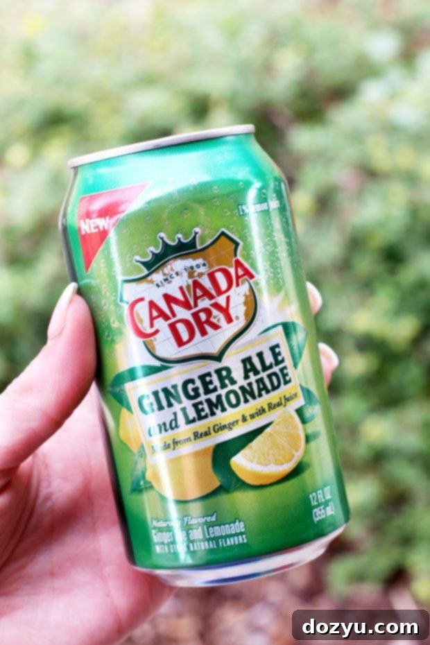 A hand holding a glass of the Mixed Berry Ginger Lemonade Frozen Mocktail outdoors.