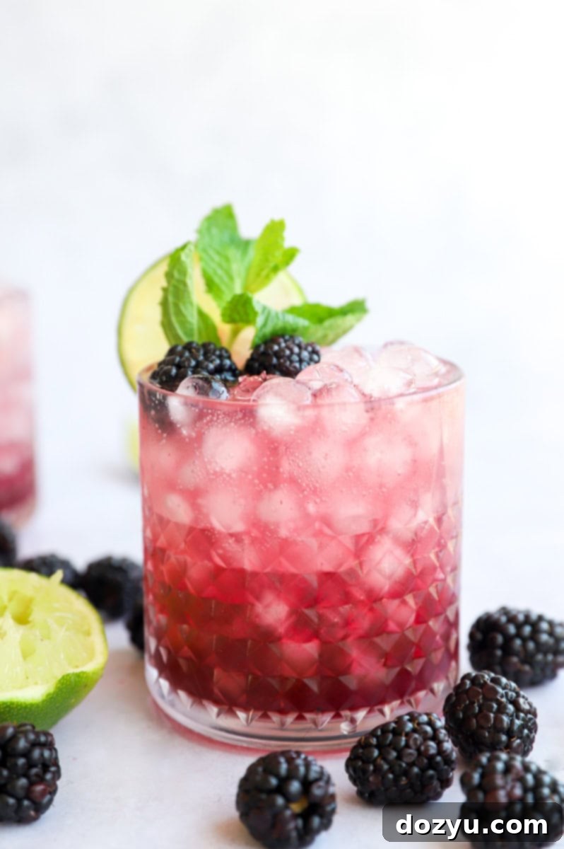 Side image of a refreshing Blackberry Gin Fizz cocktail adorned with fresh blackberries and a sprig of mint, invitingly chilled in a glass.
