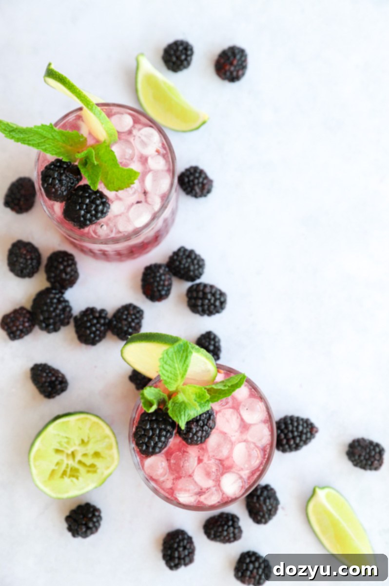 Overhead image showcasing a fresh berry summer cocktail, garnished with mint and lime, presented beautifully in a glass.