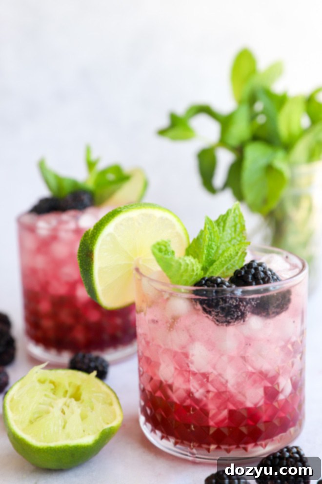 Image of two berry cocktails in glasses, garnished with fresh berries and mint, presented against a warm backdrop.