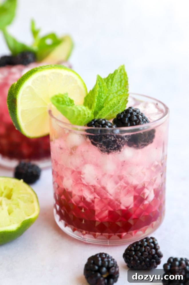 A beautifully garnished Blackberry Gin Fizz cocktail, ready to be enjoyed, showcasing its vibrant color and fresh ingredients.