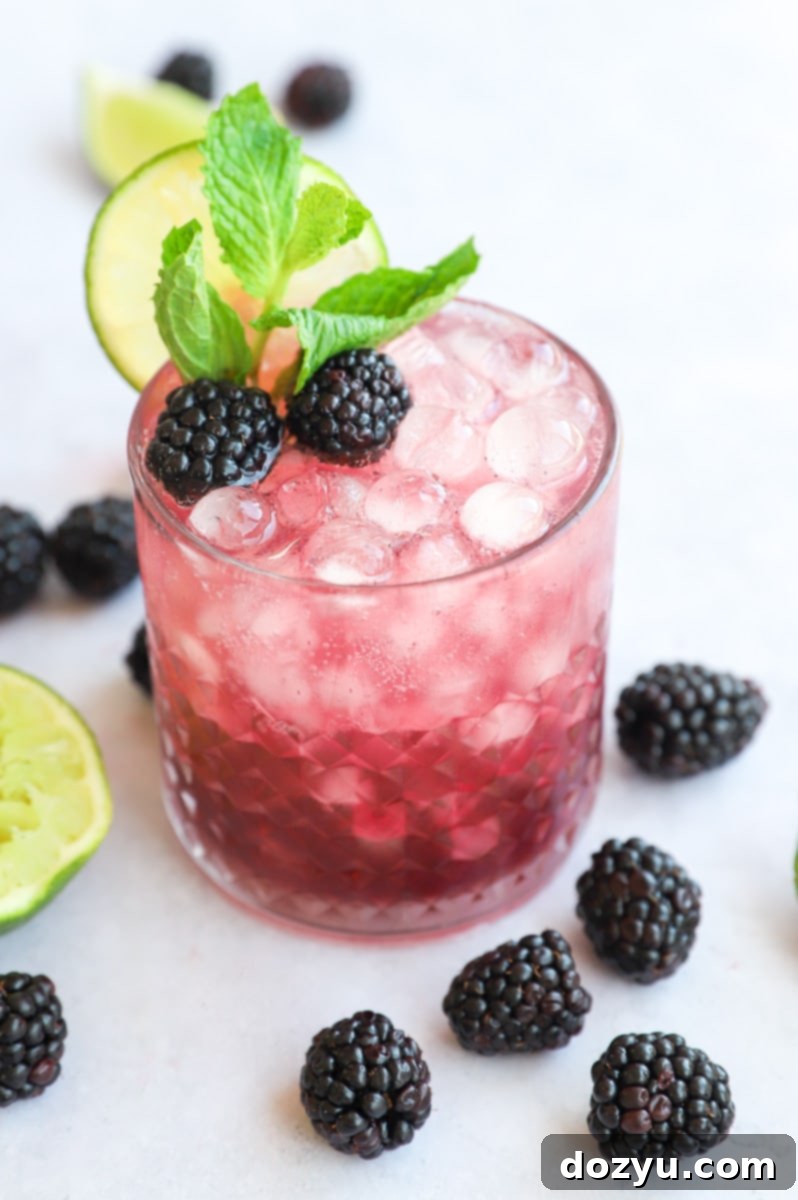 Blackberry gin fizz cocktail image