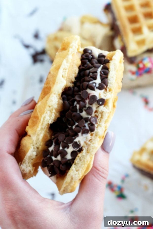Belgian Waffle Ice Cream Sandwiches rolled in chocolate chips