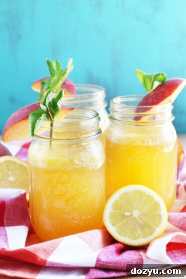 Sun-Kissed Peach Vodka Fizz 3 Sparkling Peach Vodka Lemonade