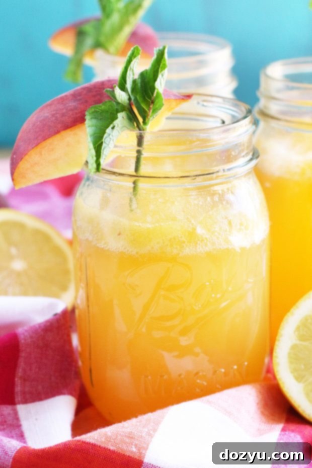 Sun-Kissed Peach Vodka Fizz 5 Sparkling Peach Vodka Lemonade