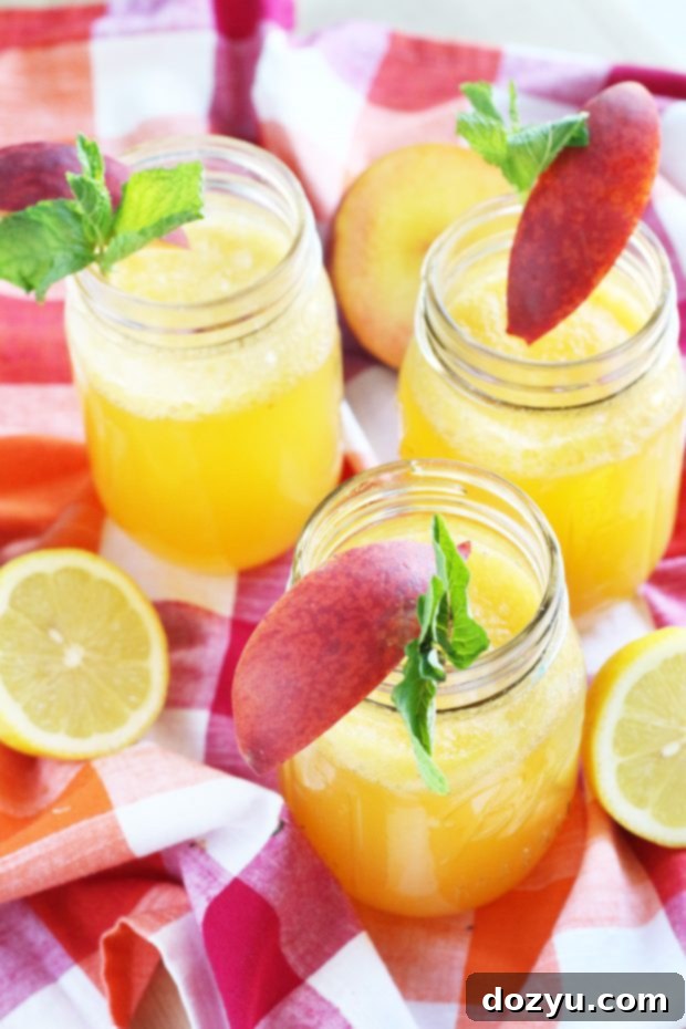 Sun-Kissed Peach Vodka Fizz 6 Sparkling Peach Vodka Lemonade
