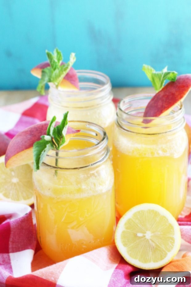 Sun-Kissed Peach Vodka Fizz 7 Sparkling Peach Vodka Lemonade