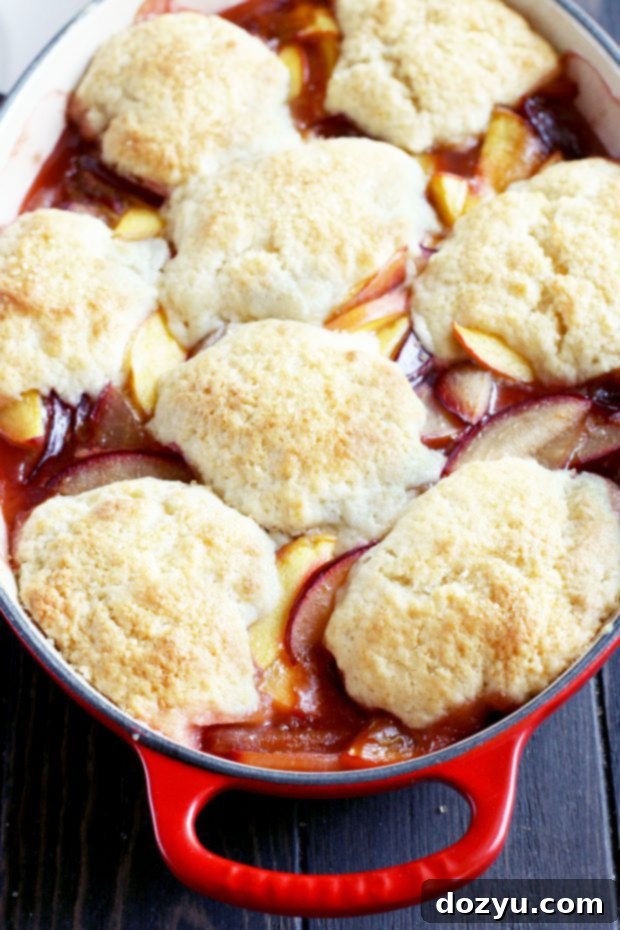 Serving of warm Peach Plum Cobbler with a scoop of vanilla ice cream