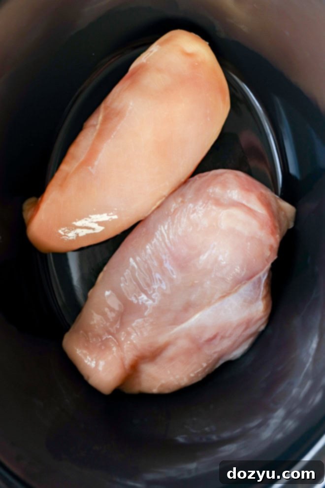 Dreamy Slow Cooker White Chicken Chili 4 Two boneless, skinless chicken breasts resting at the bottom of a slow cooker insert, ready for ingredients.