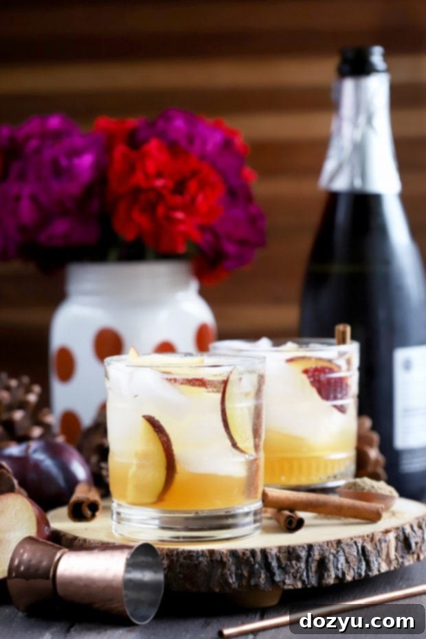 Spiced Plum Smash Cocktail - garnished with fresh plum slices and cinnamon sticks