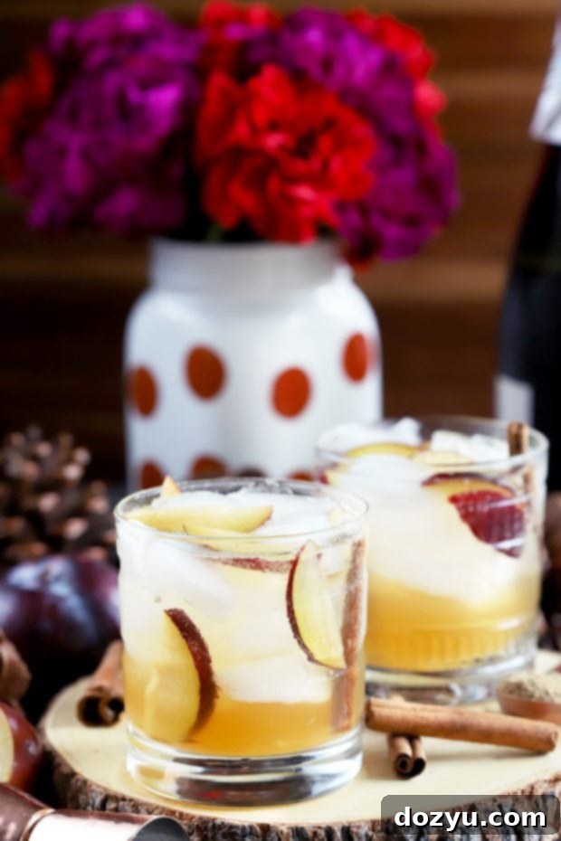 Spiced Plum Smash Cocktail close up of plums and spices