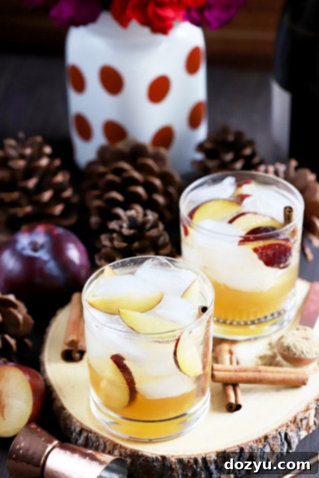 Spiced Plum Smash Cocktail close up of the drink