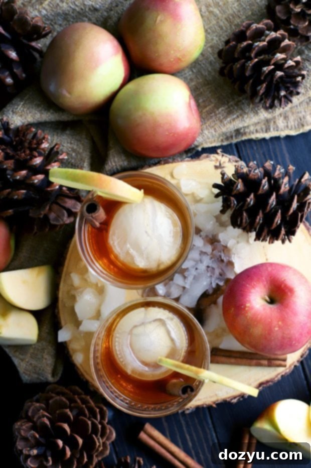 Apple Pie Old Fashioned Cocktail 2 Apple Pie Old Fashioned Cocktail with an inviting fall backdrop